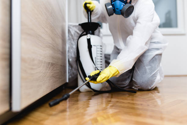Best Wildlife Control Services  in Kingsville, MD