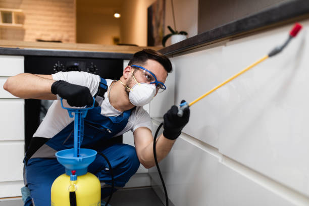 Best Best Pest Control Companies  in Kingsville, MD