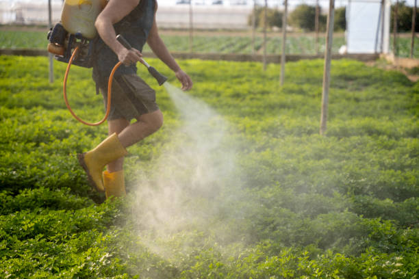 Best Pest Control for Homes  in Kingsville, MD