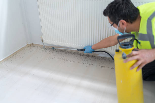 Best Pest Control Near Me  in Kingsville, MD