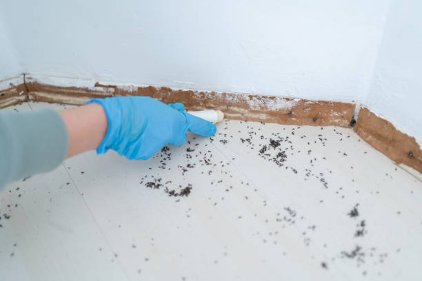 Best Pest Removal Services  in Kingsville, MD